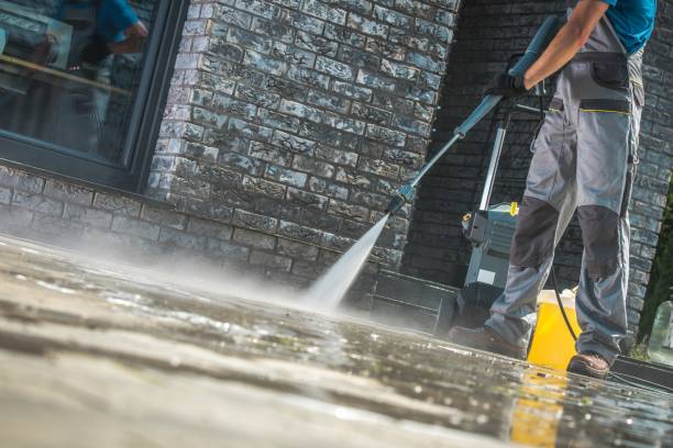 Best Pre-Holiday Cleaning  in Orland, CA